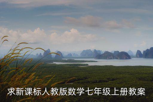 求新課標人教版數學七年級上冊教案