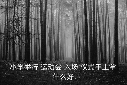 運動會入場儀式,運動會可分為國家隊和地方隊性質