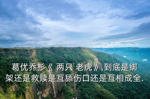 兩只老虎電影,兩只老虎賀歲檔電影