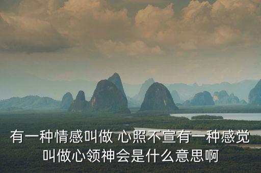 有一種情感叫做 心照不宣有一種感覺(jué)叫做心領(lǐng)神會(huì)是什么意思啊