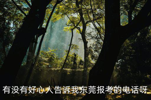 有沒(méi)有好心人告訴我東莞報(bào)考的電話呀