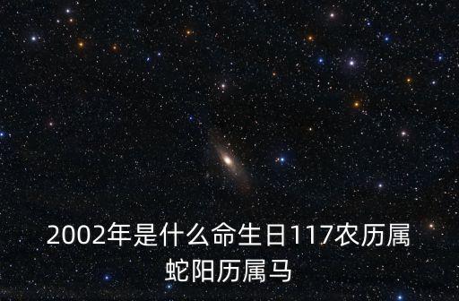 02年屬什么，2002年生今年是屬什么的 生肖