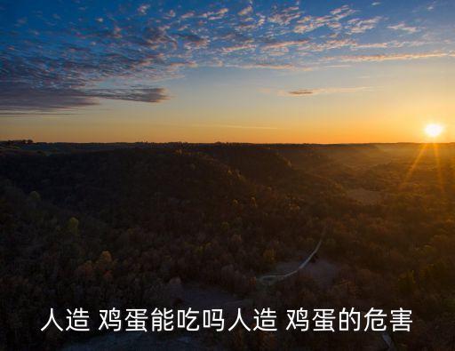 人造假雞蛋,看雞蛋內殼有沒有貼膜是真雞蛋還是人造雞蛋