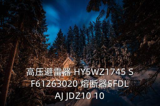 東莞西熔熔斷器的廠家，高壓避雷器 HY5WZ1745 SF61263020 熔斷器SFDLAJ JDZ10 10