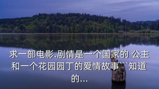 驕傲的公主,夜間之國公主求婚被拒捷克王子成為宮殿園丁
