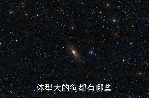 大喬治,世界最大的狗被列入吉尼斯世界紀錄