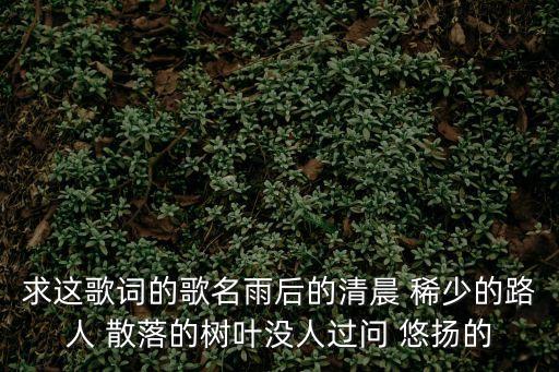 求這歌詞的歌名雨后的清晨 稀少的路人 散落的樹葉沒人過問 悠揚的