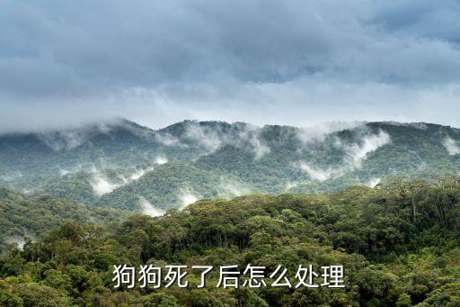 狗狗死了后怎么處理