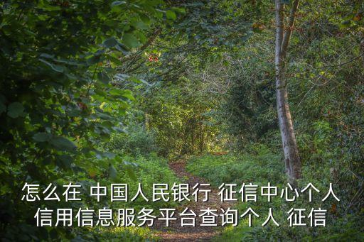 怎么在 中國人民銀行 征信中心個人信用信息服務平臺查詢個人 征信