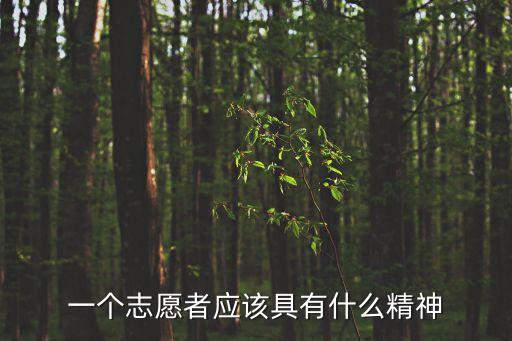 志愿精神，一個(gè)志愿者應(yīng)該具有什么精神