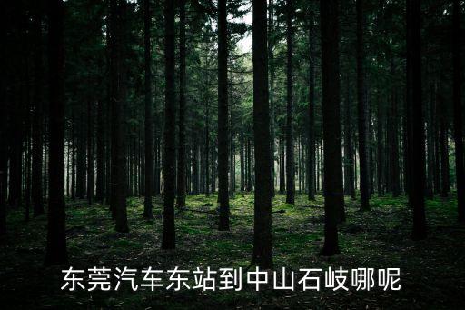 東莞有石岐這個地方嗎，東莞塘廈到中山石岐坐車