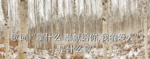 歌詞“拿什么 奉獻(xiàn)給你,我的愛人”是什么歌
