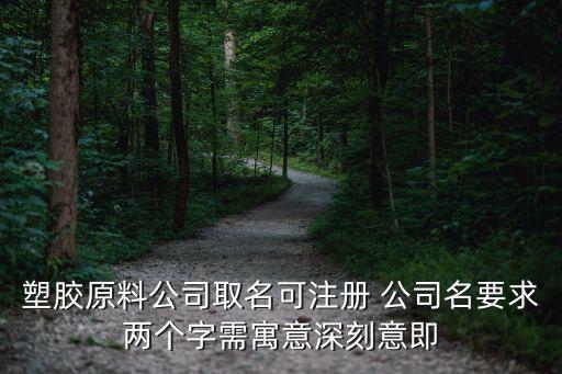 塑膠原料公司取名可注冊(cè) 公司名要求兩個(gè)字需寓意深刻意即