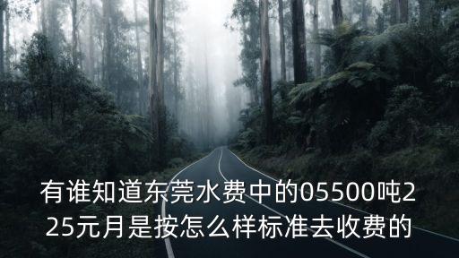有誰知道東莞水費中的05500噸225元月是按怎么樣標準去收費的