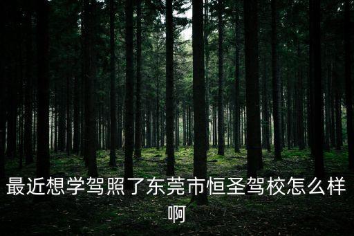 東莞寮步恒圣駕校怎么樣，東莞大朗恒圣駕校好嗎