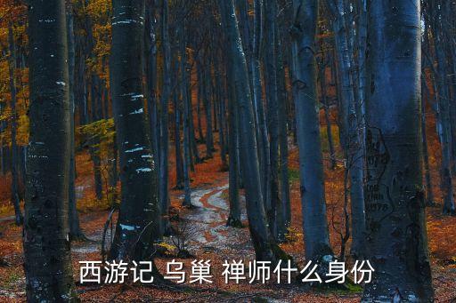 烏巢禪師,《西游記》原著人物烏巢禪師被認為是鳥巢其實是菩薩