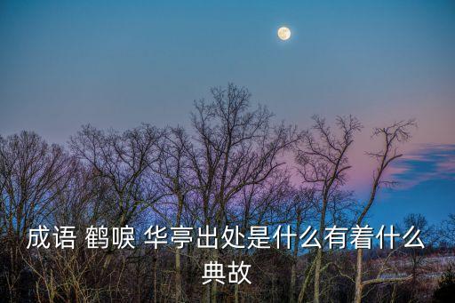 華亭鶴唳詎可聞,鶴唳華亭改編自薛蠻莊園同名小說