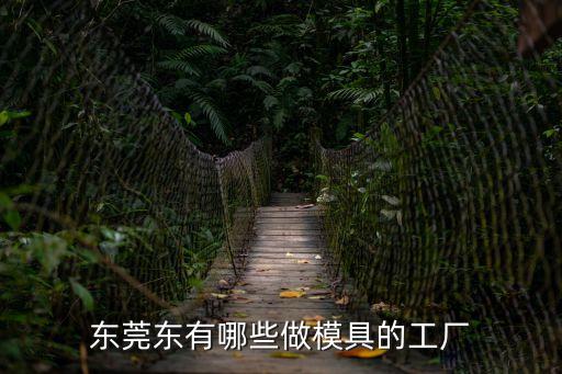 東莞奔達模具廠，東莞橫櫪西城工區(qū)那里有模具廠嗎請具體說明在那