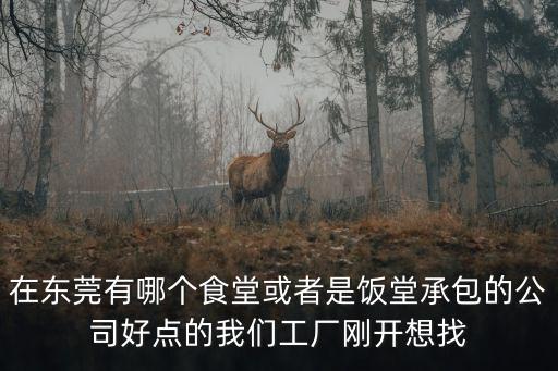 在東莞有哪個食堂或者是飯?zhí)贸邪墓竞命c的我們工廠剛開想找