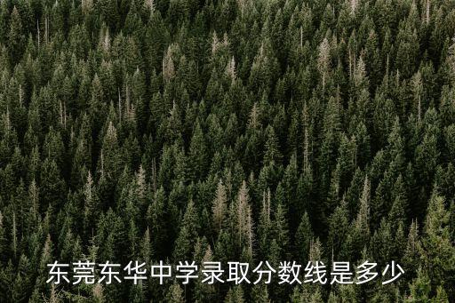 東莞東華中學錄取分數線是多少