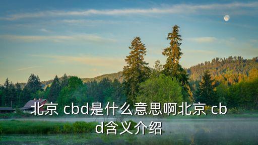 cbd是什么意思,北京商務區有哪些商機?