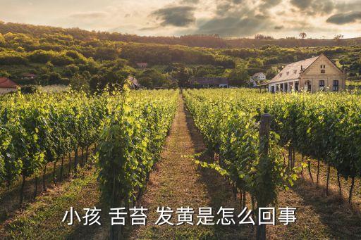 嬰兒舌苔發黃,八個月寶寶舌苔發黃可能與上火或脾胃不好有關