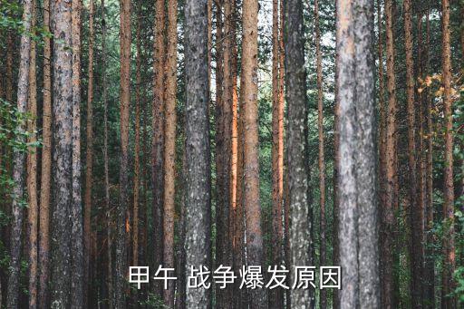 甲午中日戰(zhàn)爭,日本想實行以侵略中國為中心的大陸政策