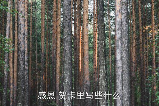 感恩節(jié)賀卡,感謝您用生命之光照亮我的旅途