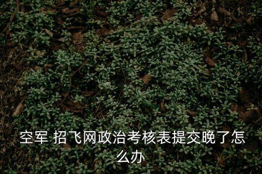  空軍 招飛網政治考核表提交晚了怎么辦