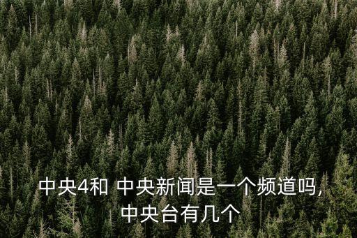 中央十二臺節目表,央視春晚以中字命名舞臺符號