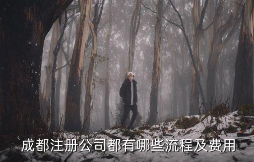  成都注冊公司都有哪些流程及費用