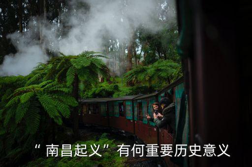 南昌起義,第二集:中共南昌起義的來(lái)歷