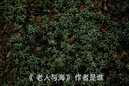 老人與海的作者,美國作家海明威代表作《老人大?！废盗?/></a></span><span id=