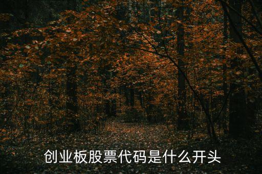 創業板公司,創業板上市公司代碼以300開頭