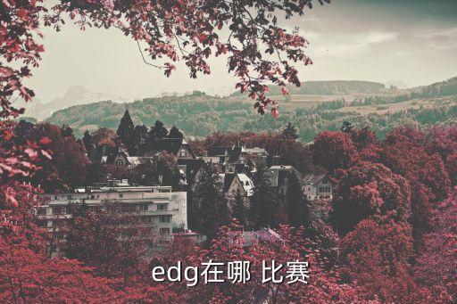 edg比賽視頻,上海虹橋天地演藝中心edg決賽在冰島進行