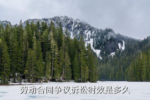 勞動合同爭議訴訟時效是多久