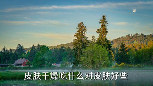 皮膚干燥吃什么對皮膚好些