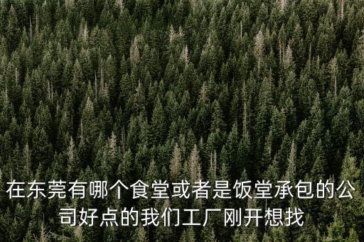 在東莞有哪個食堂或者是飯堂承包的公司好點的我們工廠剛開想找