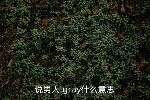 說男人 gray什么意思