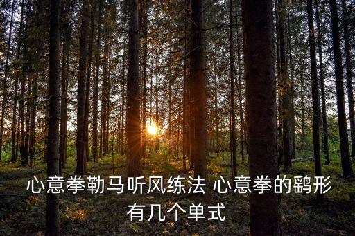  心意拳勒馬聽風練法 心意拳的鷂形有幾個單式