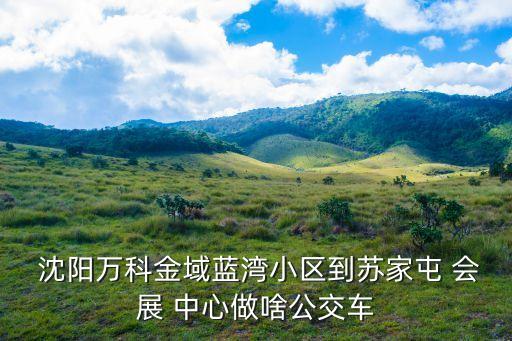  沈陽萬科金域藍灣小區到蘇家屯 會展 中心做啥公交車
