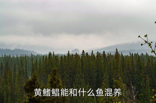 黃鰭鯧能和什么魚混養