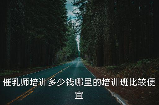 催乳師培訓(xùn)多少錢哪里的培訓(xùn)班比較便宜