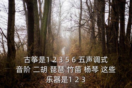 古箏音階圖，古箏是1 2 3 5 6 五聲調式音階 二胡 琵琶 竹笛 楊琴 這些樂器是1 2 3