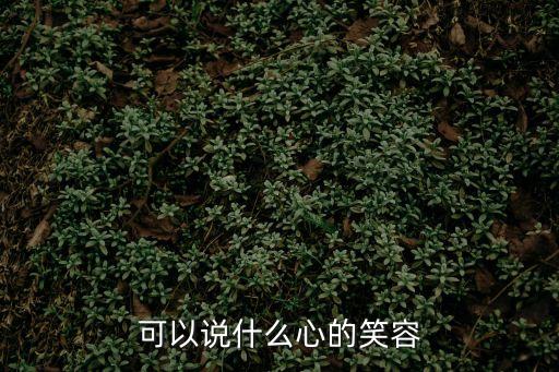 可以說什么心的笑容