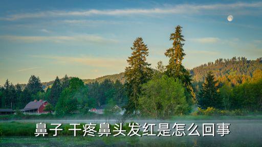  鼻子 干疼鼻頭發紅是怎么回事