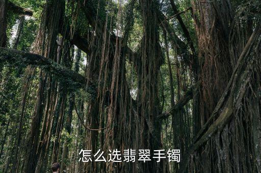 怎么選翡翠手鐲