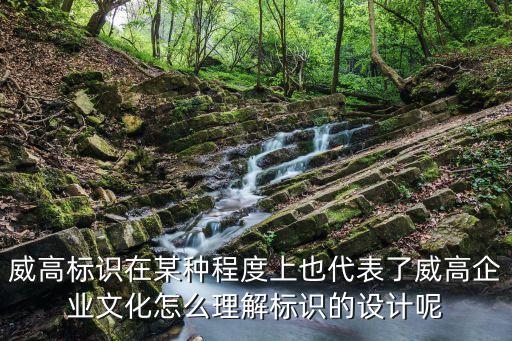 威高標(biāo)識(shí)在某種程度上也代表了威高企業(yè)文化怎么理解標(biāo)識(shí)的設(shè)計(jì)呢