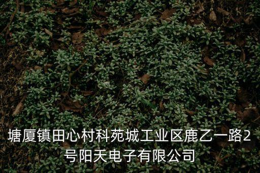 塘廈鎮(zhèn)田心村科苑城工業(yè)區(qū)鹿乙一路2號(hào)陽(yáng)天電子有限公司