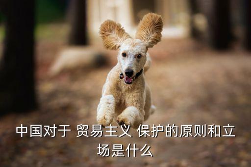 中國對于 貿易主義 保護的原則和立場是什么